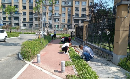 8.長白山運營公司山河府項目組進(jìn)行市政道路拓荒工作_副本.jpg