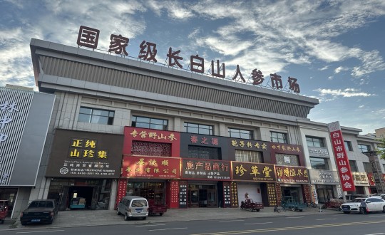 23.藥業(yè)公司深入人參市場(chǎng)考察調(diào)研_副本.jpg